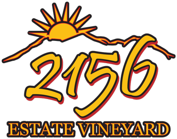 Experiences – 2156 Estate Vineyard
